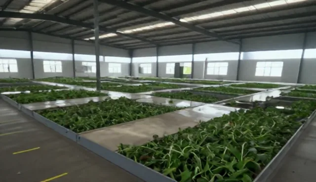 加工场景下的渠道供货问题与应对策略
